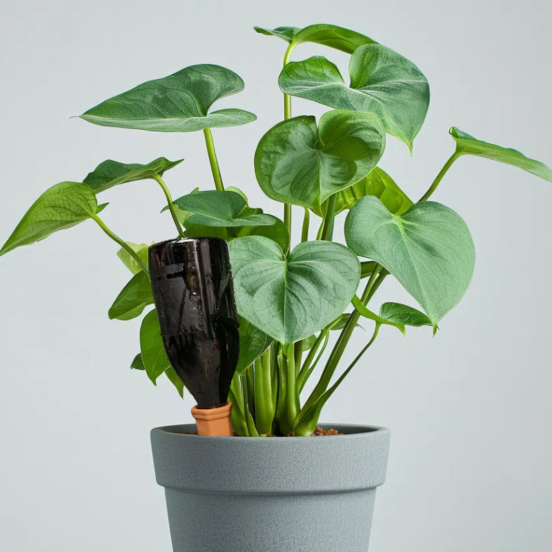AquaThrive Ceramic Spike — Effortless Care, Lush Growth