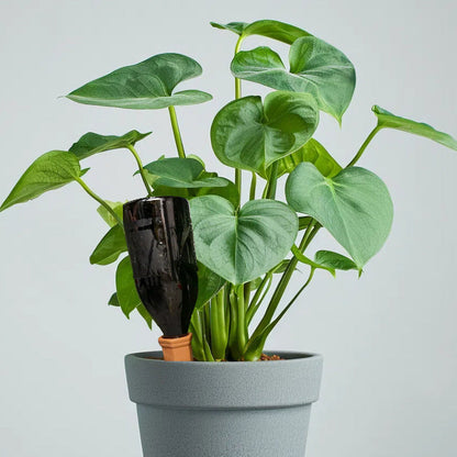 AquaThrive Ceramic Spike — Effortless Care, Lush Growth