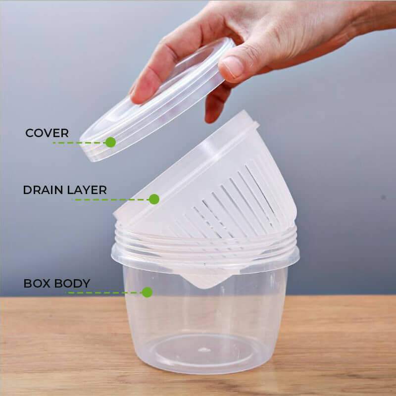 FreshNest Herb Keeper — Crisp Herbs, Effortless Flavor