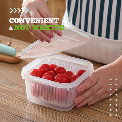 FreshNest Herb Keeper — Crisp Herbs, Effortless Flavor