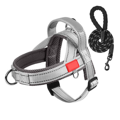 Total Comfort Harness — Stress-Free, Safe Walks