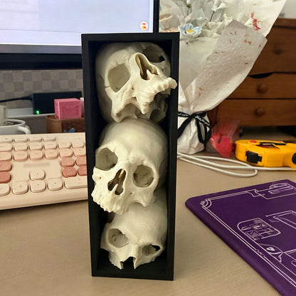 MorbidAura Skull Bookend — Command Attention, Organize Fearlessly
