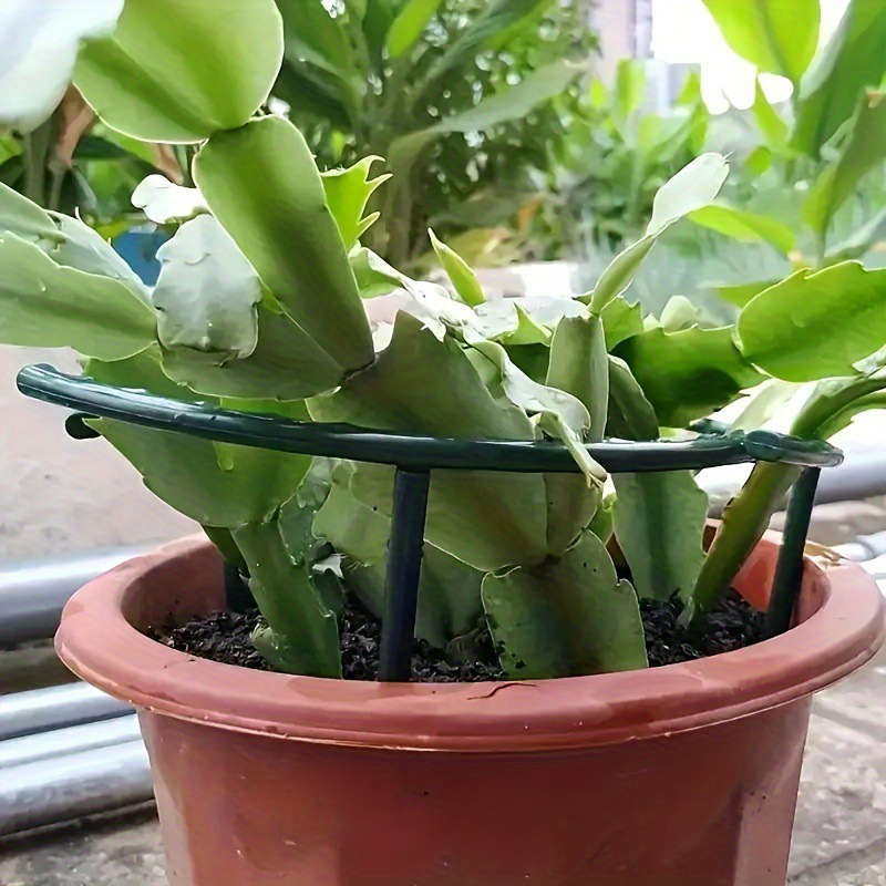 PlantSnap Rings — Grow Strong, Stand Tall