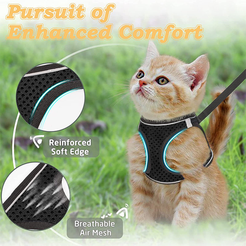 LumaTail Harness — Featherlight Freedom Secure
