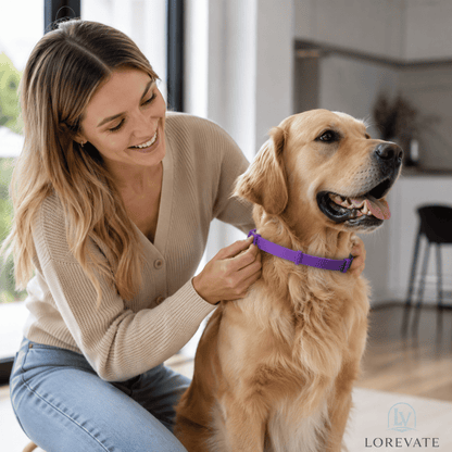 PurpleProwler — Insect Repellent Collar | 1+1 FREE