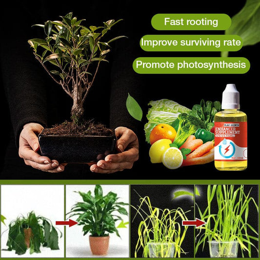 RootReign — Ignite Lush, Unstoppable Growth
