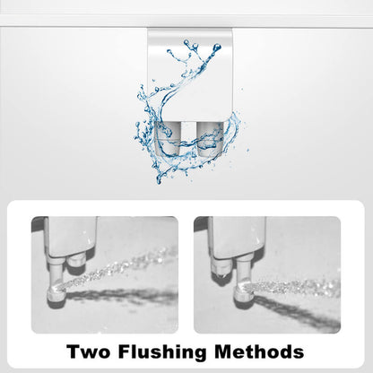 AquaPure DualFlow — Enhanced Clean Comfort