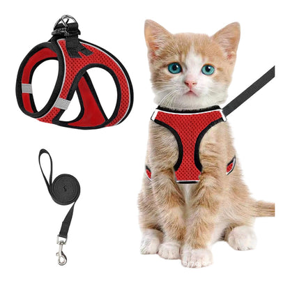 LumaTail Harness — Featherlight Freedom Secure