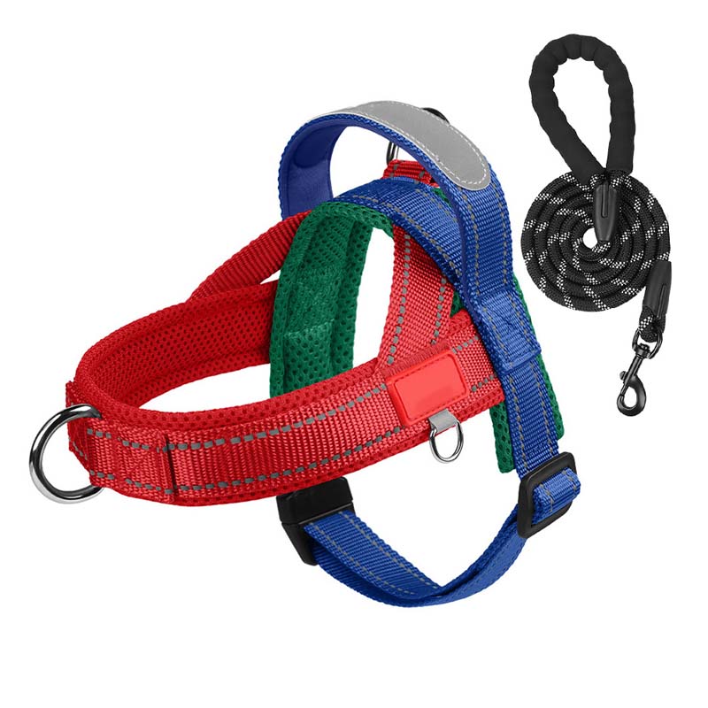 Total Comfort Harness — Stress-Free, Safe Walks
