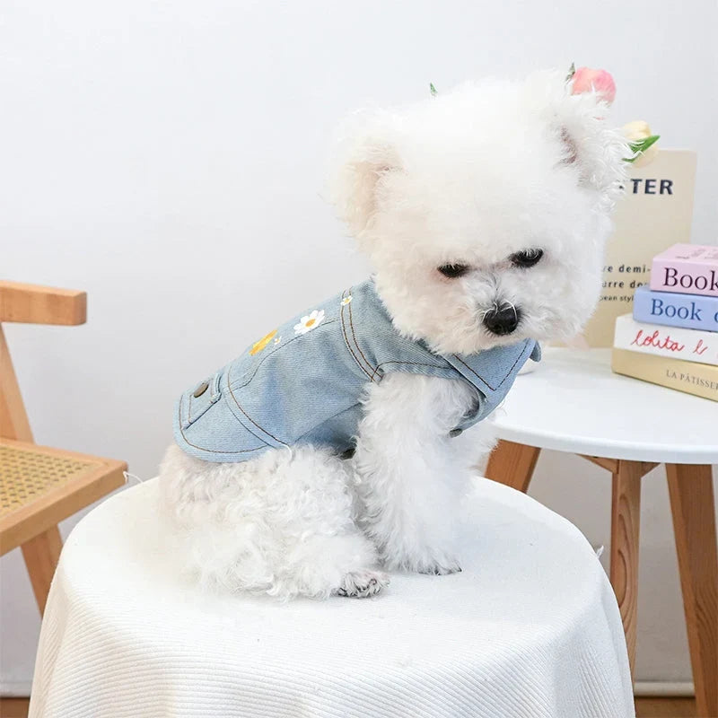 LuxPup Jacket — Cozy Confidence Everywhere