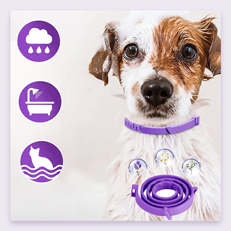 PurpleProwler Collar — Comfortable Protection, Mosquito-Free Enjoyment