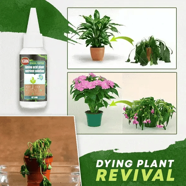 VitaBloom — Ignite Lush, Vibrant Growth