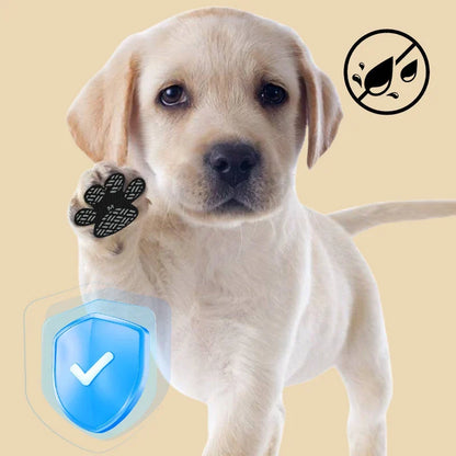 PawTread — כפות בטוחות בכל מקום