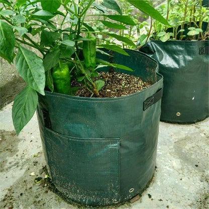 GrowMate — Bountiful Harvest, Effortless Joy