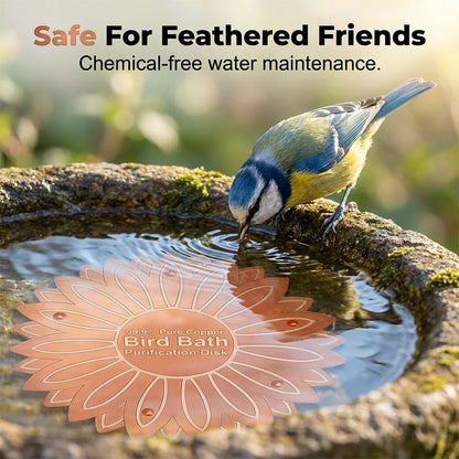 LumaPure Copper Disk — Pure Water, Happy Birds