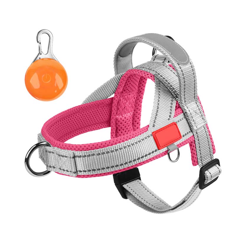 Total Comfort Harness — Stress-Free, Safe Walks