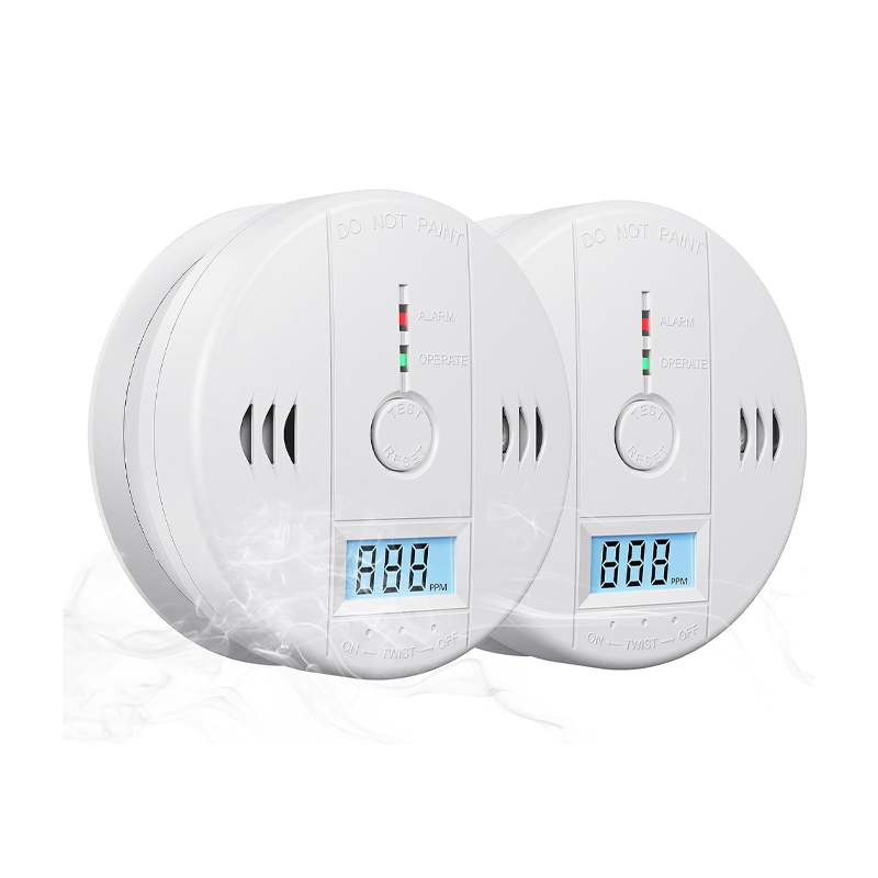 SentinelSense – Immediate Warning, Overall Security