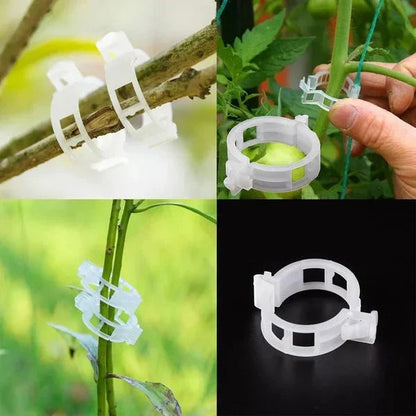 Plant Support Clips — Gentle Hold, Healthy Growth - 100 Pieces
