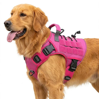 Active Dog Harness — Unstoppable Comfort Control