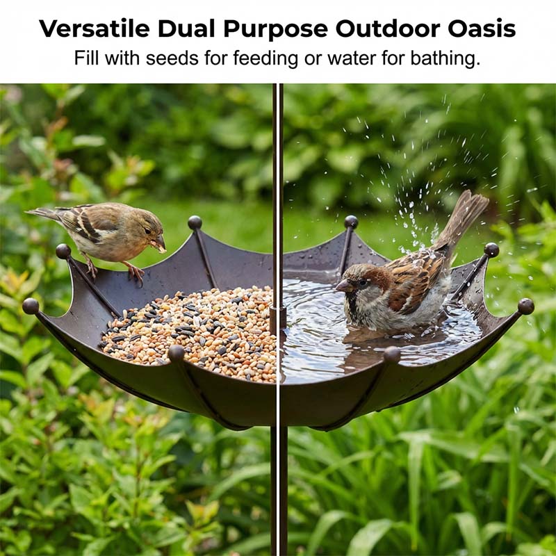 WildVogel — Vintage Bird Bath | 1+1 FREE