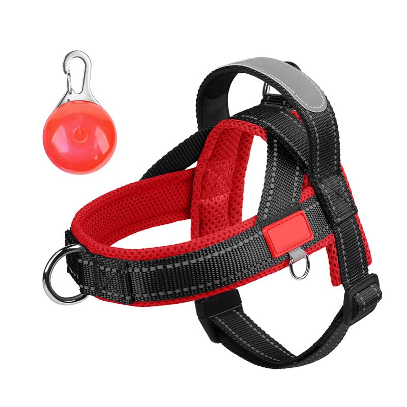 Total Comfort Harness — Stress-Free, Safe Walks
