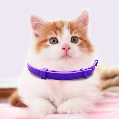 PurpleProwler Collar — Comfortable Protection, Mosquito-Free Enjoyment