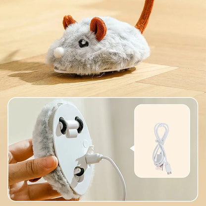 Electric Cat Mouse — Unleash Playful Predator Instincts