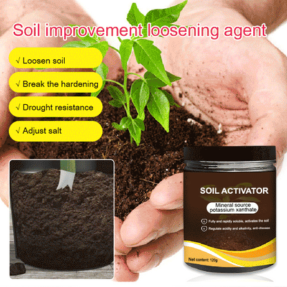 SoilRevive 120g – Revitalize Roots, Let Beauty Bloom | Buy 1 Get 1 Free