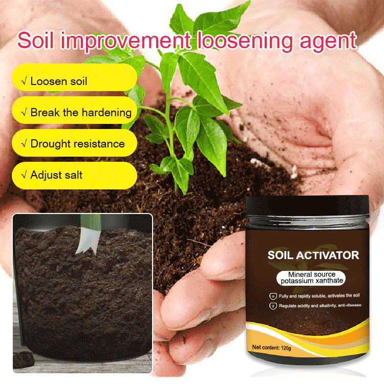 TerraPulse Soil Activator — Revive Roots, Ignite Growth - 120g