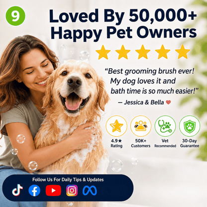 LuxiPaw — All-In-One Pet Grooming Brush | 1+1 FREE