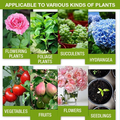 Plant Nutrient – Sparks Lush, Vibrant Growth - 30ml