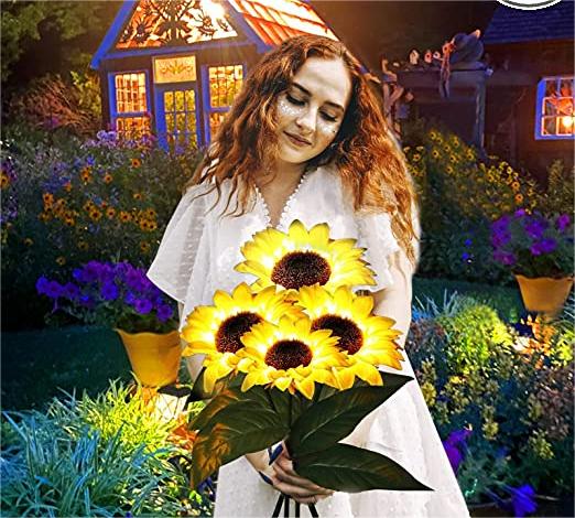 Garden Rays – Enchanting Warm Glow
