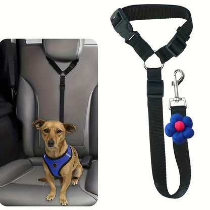 WagSecure – Freedom, Security, Comfort