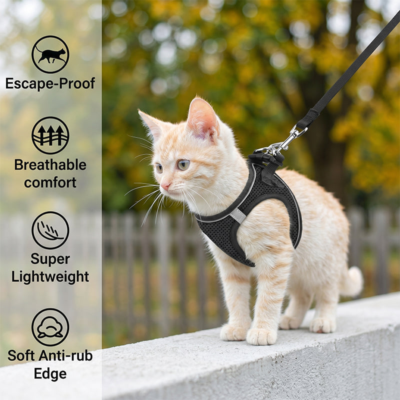 LumaTail Harness — Featherlight Freedom Secure