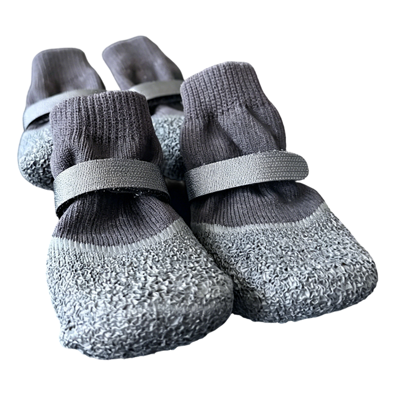 AquaPaw Guard — Warm, Dry, Safe