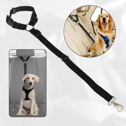 EverPaw Secure Harness — Calm, Safe, Confident