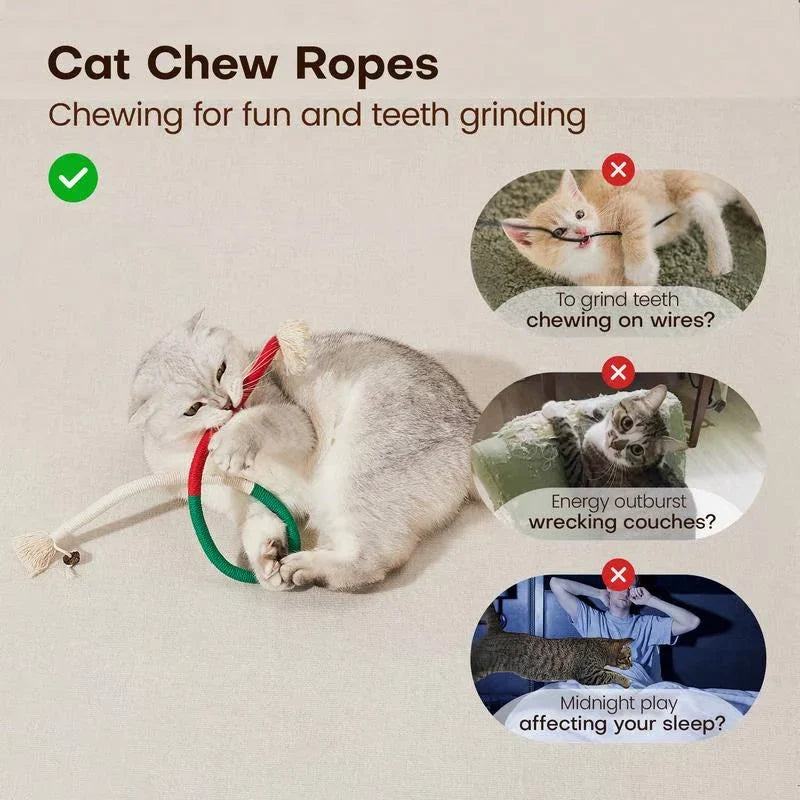 WhiskerWeave — Soothe, Play, Smile