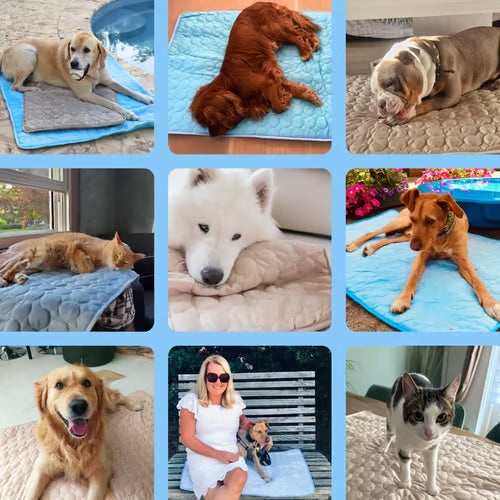 ChillPaw Mat — Cool Comfort Everywhere