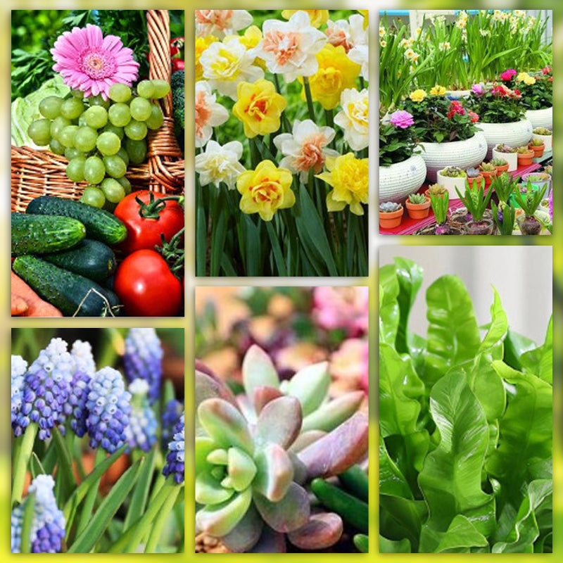 PlantEssentia — Unleash Vibrant Growth - 18 Beats