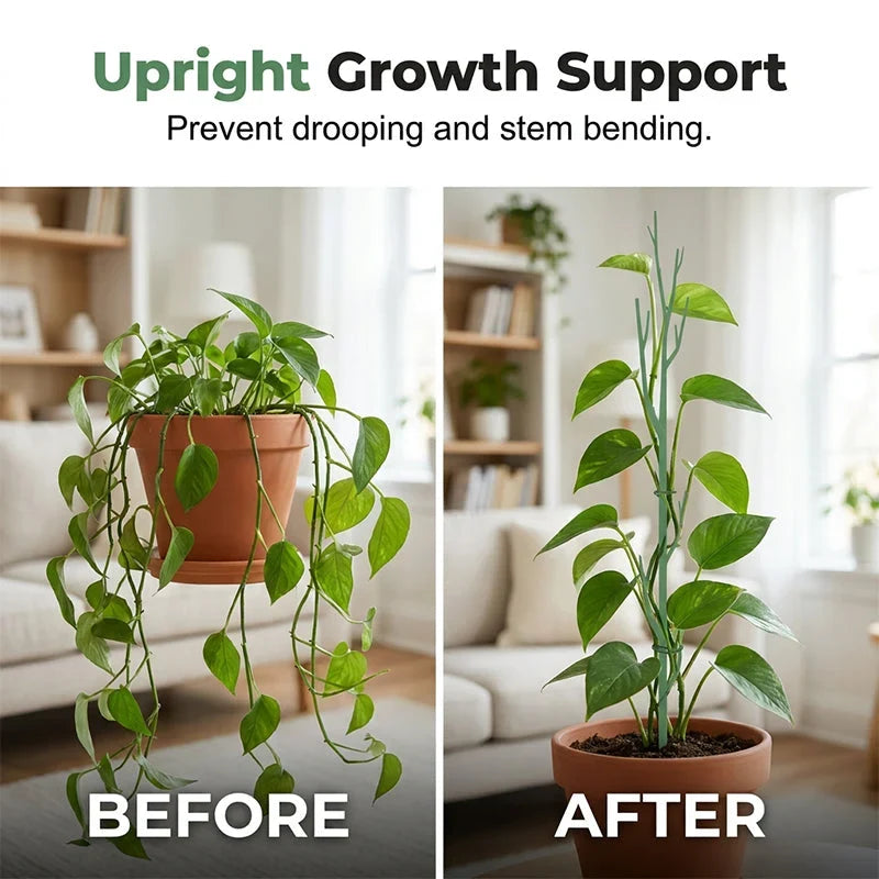Vervanta Stakes — Natural Support, Stunning Growth