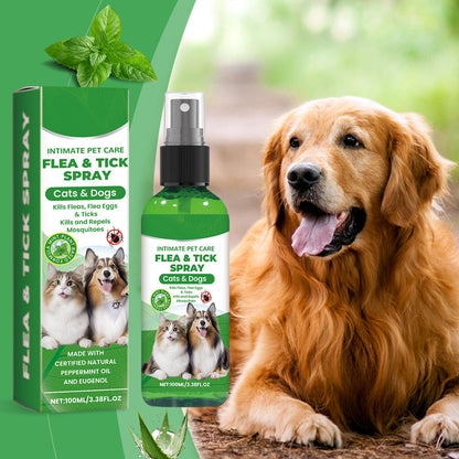FurShield — Quiet Comfort, Fur-Free Pets