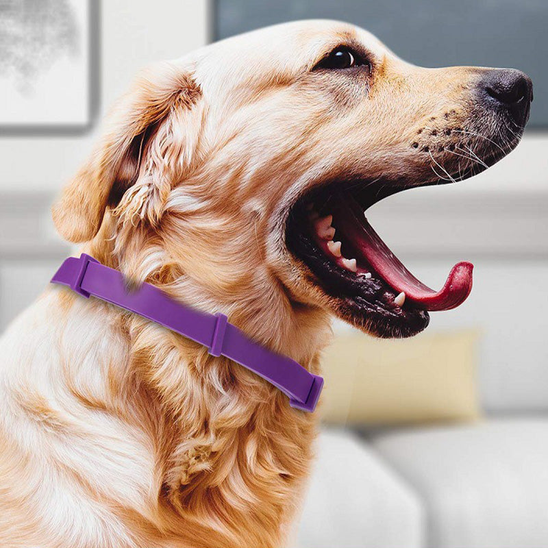 PurpleProwler Collar — Comfortable Protection, Mosquito-Free Enjoyment