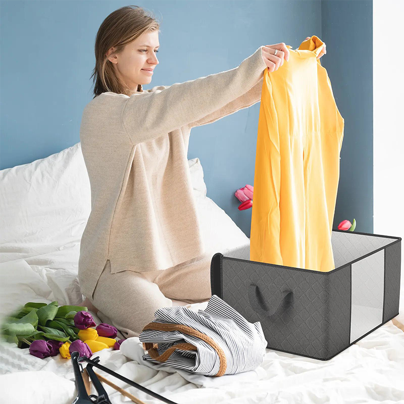 Storage Bag — Instantly Clear, Fresh, Spacious