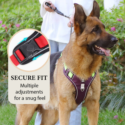 SafeWalk — Safe Dog Harness | 50% OFF