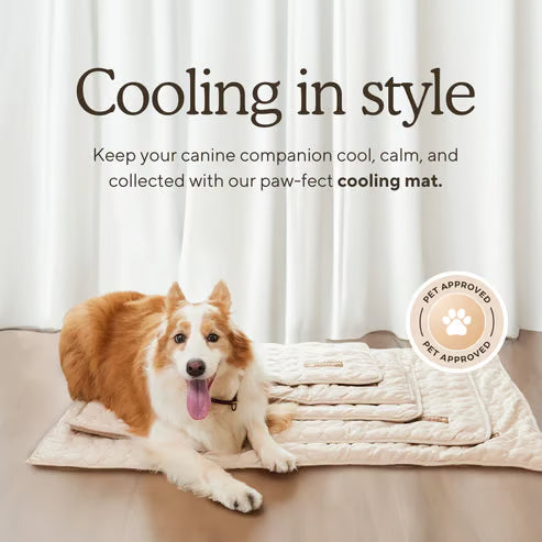 ChillPaw Mat — Cool Comfort Everywhere