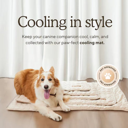 ChillPaw Mat — Cool Comfort Everywhere