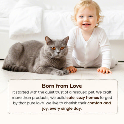 Cat Cocoon — Ultimate Comfort and Calm