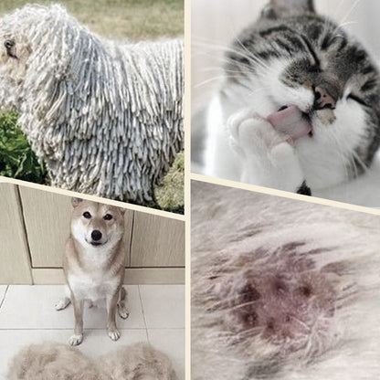 FurEase — Gentle Pet Grooming Brush | 1+2 FREE