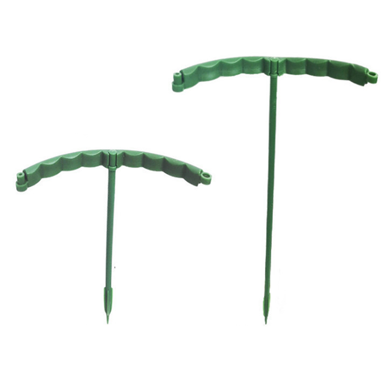PlantSnap Rings — Grow Strong, Stand Tall