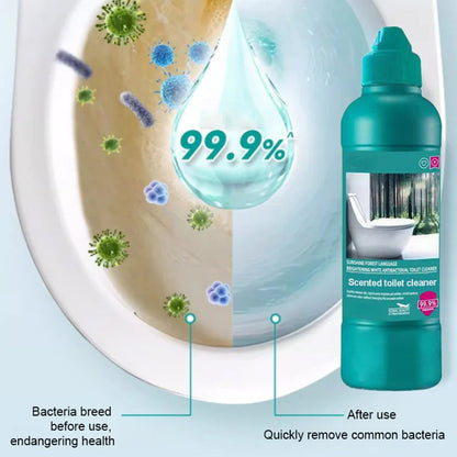 Bathroom Bliss 500ml — Effortless Shine Forever